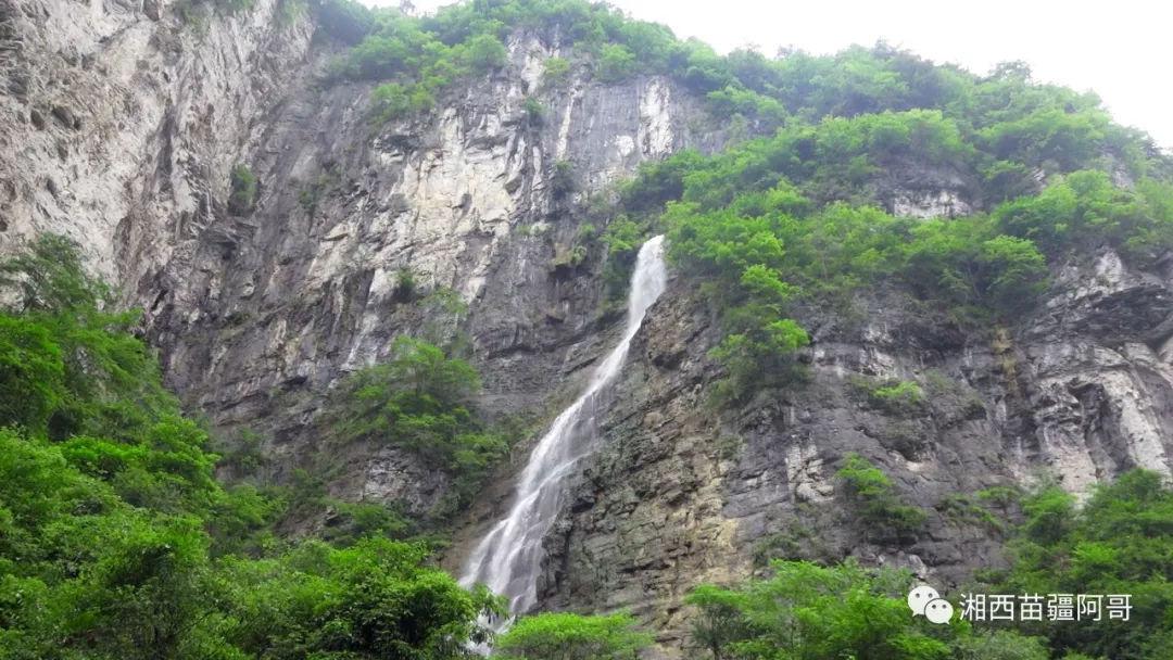 突发心梗生死救援！高铁上，河南籍军医“侠侣”出手了……